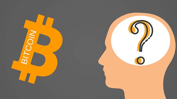 Bitcoin, Question, Person, Mind