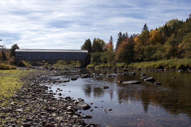 Free Water Nature photo and picture