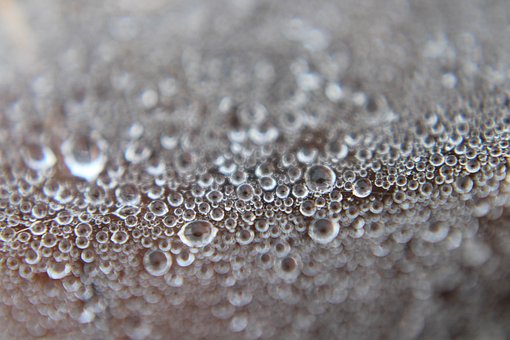 Free Drop Wet photo and picture