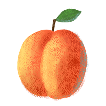 Aprikose, Orange, Gelb, Obst, Natur