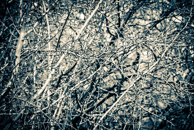 Download free HD stock image of Pattern Desktop Free Pattern Desktop photo and picture