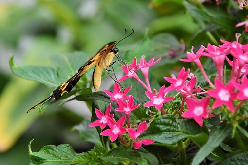 주부 직장인 회생 신청 법무사 수수료4