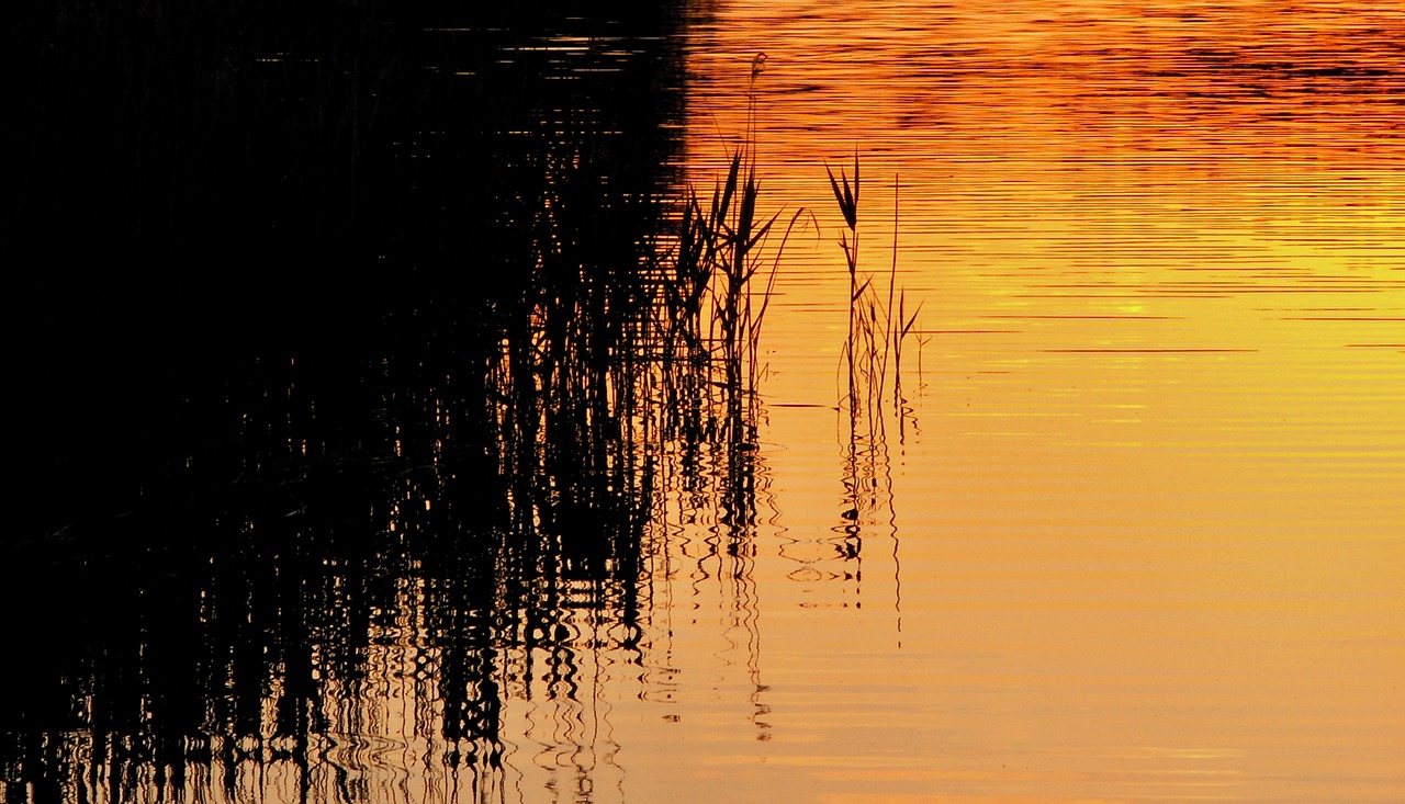 Download free HD stock image of The Wave Is Reflected Free The Wave Is Reflected photo and picture