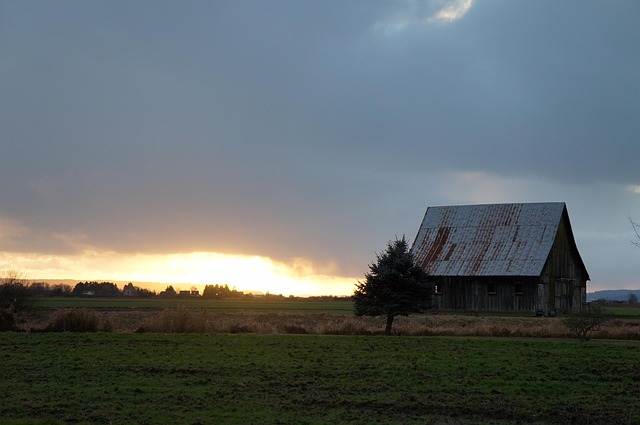 Free Landscape Outdoors photo and picture