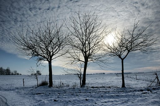 20+ Free Snowscape & Winter Images - Pixabay