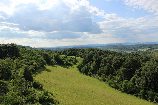 Free Nature Landscape photo and picture
