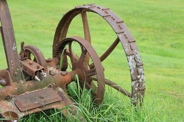 Free Grass Farm photo and picture