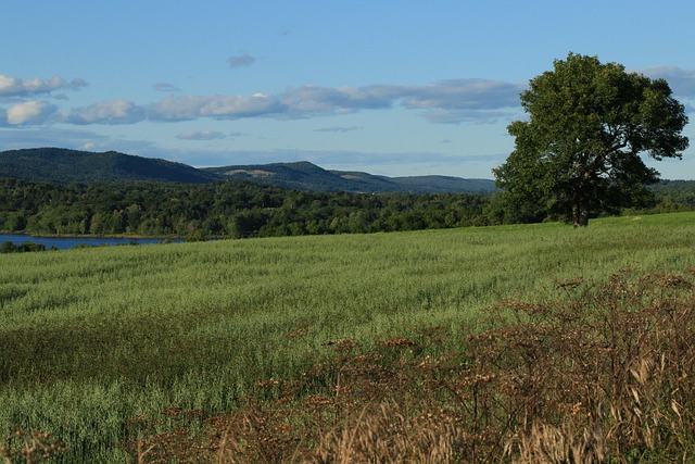 Free Landscape Panoramic photo and picture