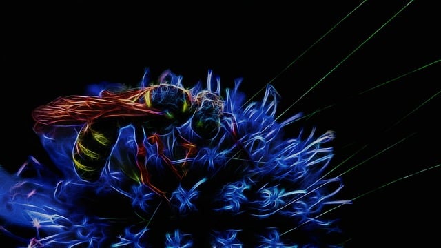 Free fractalius field wasp thistle illustration