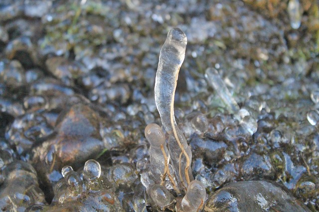 Free Nature Body Of Water photo and picture