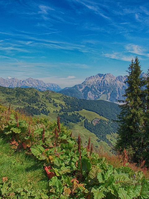Free Nature Landscape photo and picture