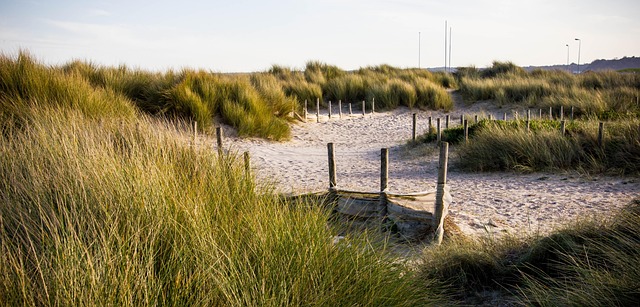 Free Waters Nature photo and picture