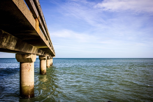 Free Waters Sea photo and picture