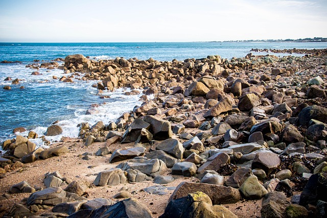 Free Sea Beach photo and picture