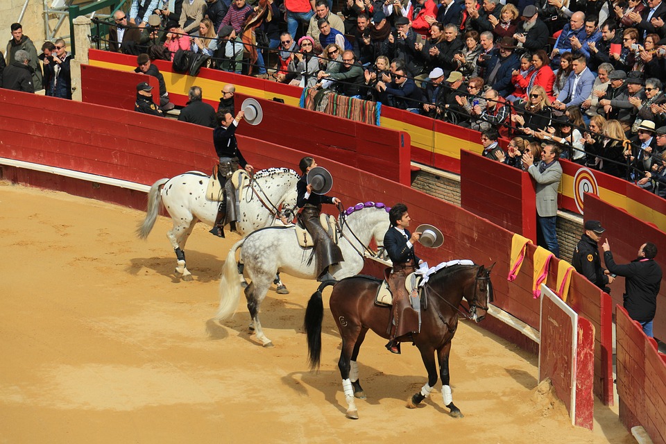Torrerro Bullring Torero - Free photo on Pixabay