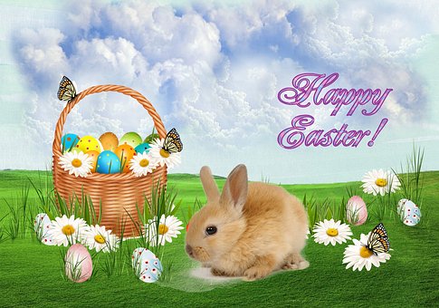 Free Easter Rabbit photo and picture