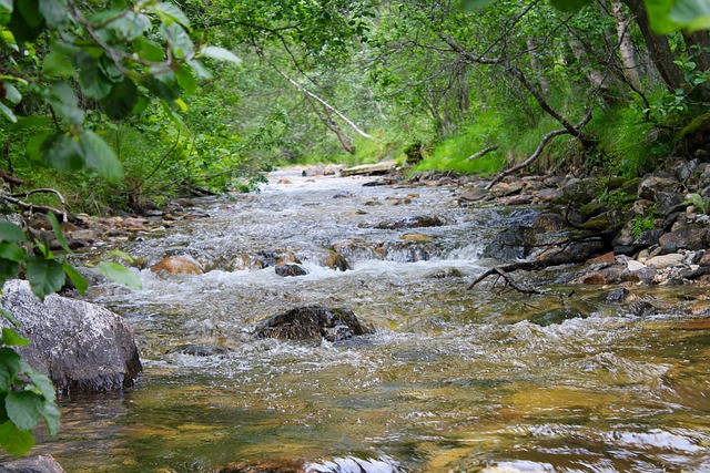 Free Water Bodies Nature photo and picture