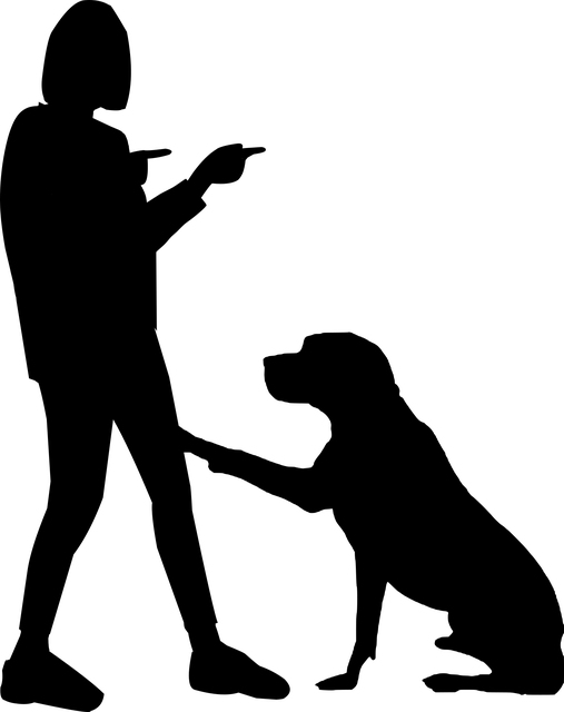 Silueta, Pes, Příroda, Žena, Milovat