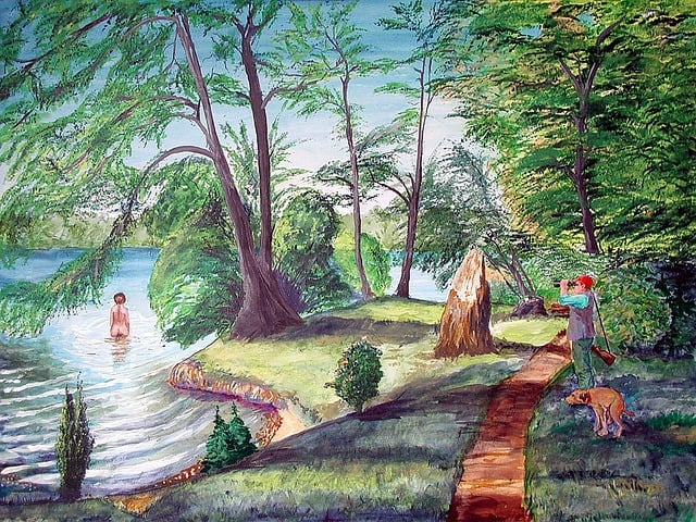 Natur, Svømme, Innsjø, Jakt, Hund