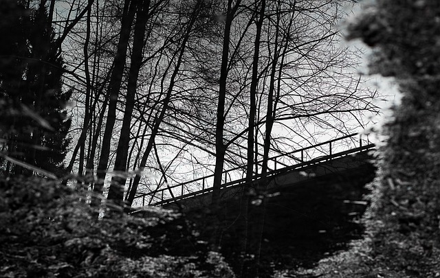 Blanco Negro Charco Puente De La Foto gratis en Pixabay Pixabay