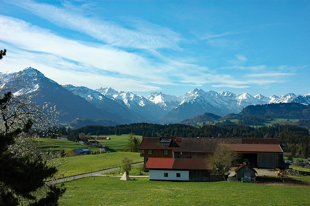 Free Pigs Mountain Allgäu photo and picture