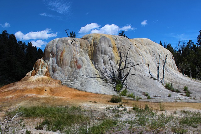 Free Nature Landscape photo and picture