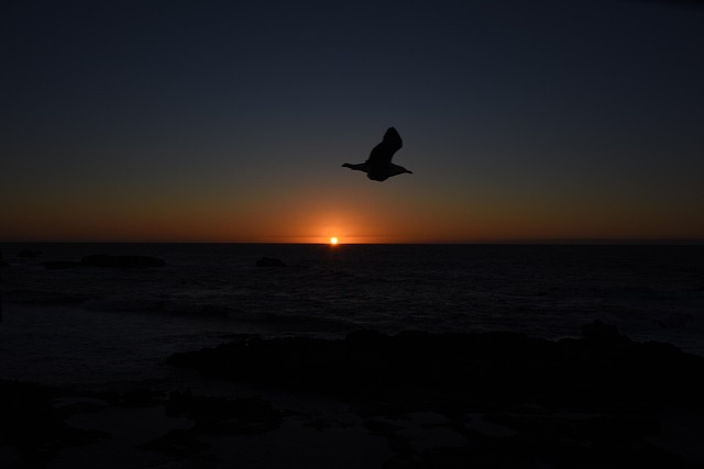 Free Sunset Sun photo and picture