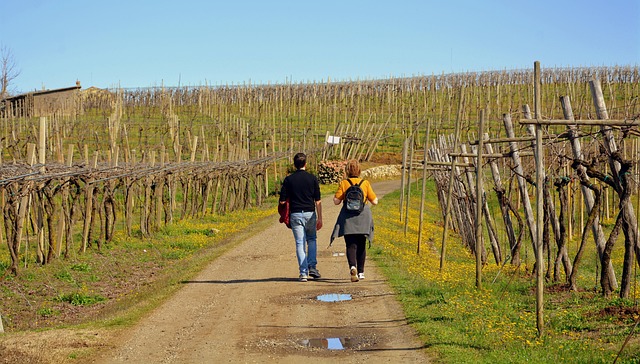 Free Walk Excursion photo and picture