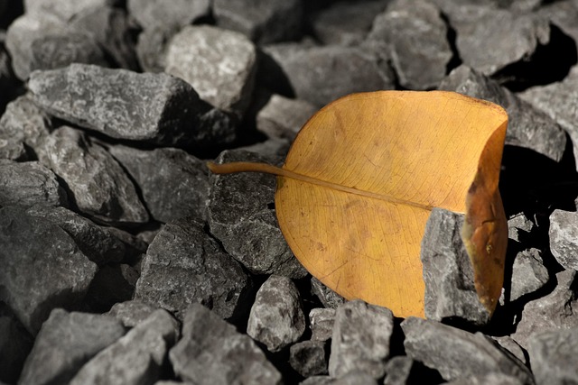 Free Nature Rock photo and picture