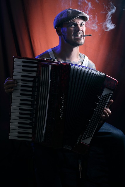 music, musician, one, people, concert, accordion, accordion, accordion, accordion, accordion, accordion