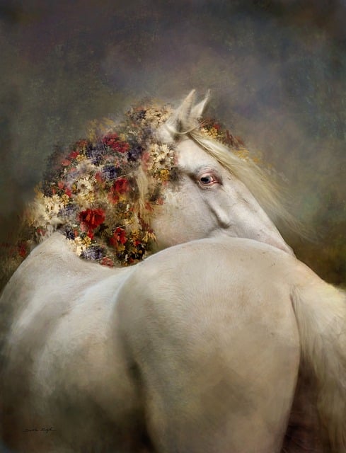 Free mammal animal mare illustration
