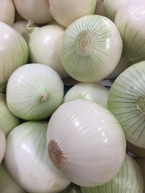 Free Kitchen Vegetable photo and picture