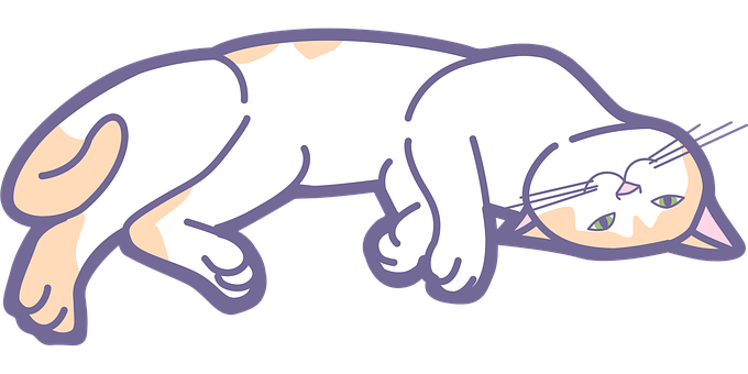 Kat, Feline, Maskot, Dyr, Lille Kat