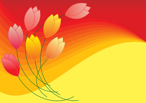 Tulpe, Pflanze, Blumen, Blühen, Gelb