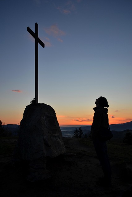 Free Sunrise The Silhouette photo and picture