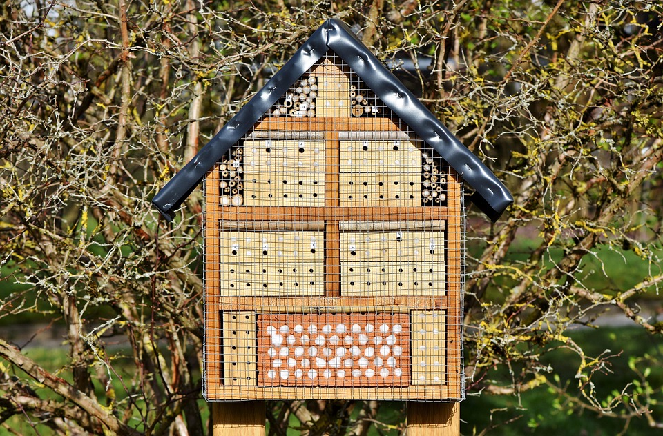 Insect Hotel, Insect House, Insect Box