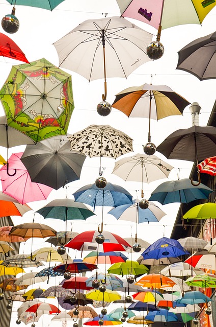 Free Umbrella Protection photo and picture