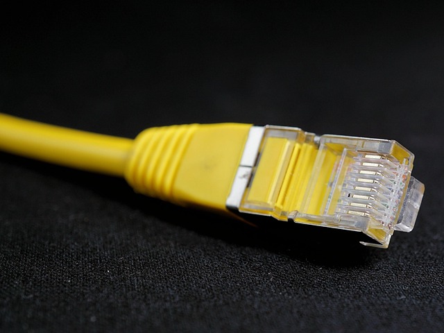 Download free HD stock image of Network Cable Free Network Cable photo and picture