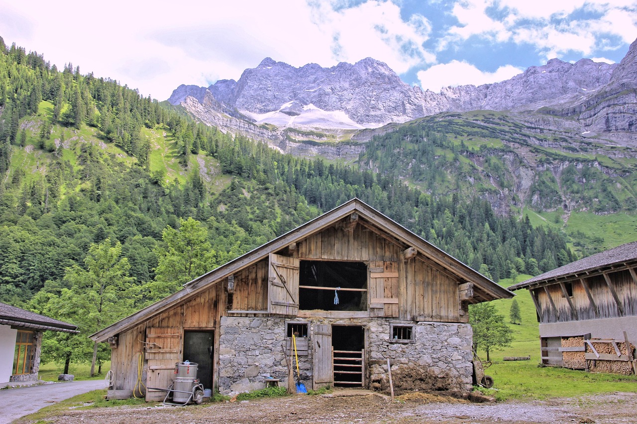 Wood - free online jigsaw puzzle photo
