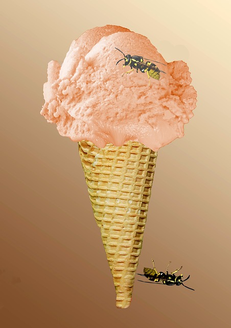 Eis, Eistüte, Waffel, Erdbeereis