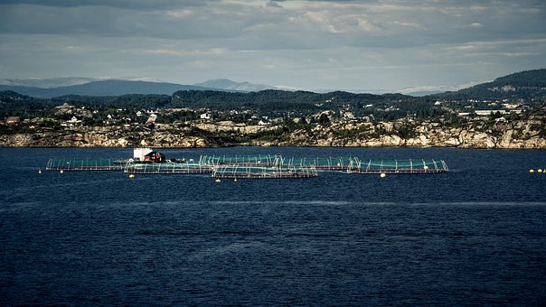 Free Waters Sea photo and picture
