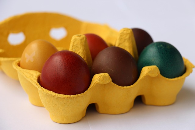 Free Food Colored photo and picture