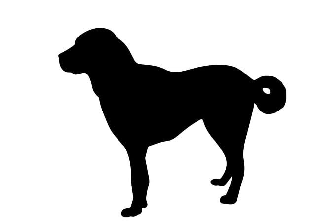Free Dog Animal illustration and picture
