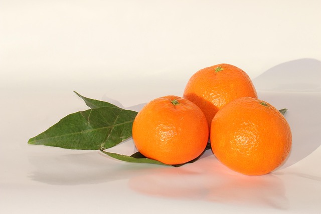 Free Leaf Fruit photo and picture