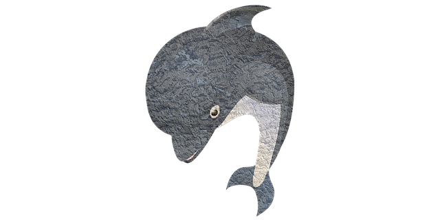 Hai, Angeln, Fische, Ozean, Fluss