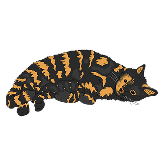 Kat, Skildpadde Kat, Sød Kat, Kæledyr