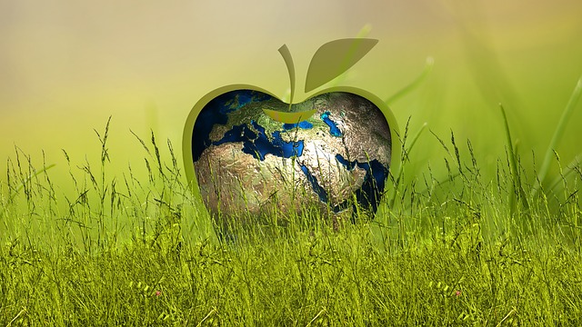 Free sustainability energy apple illustration