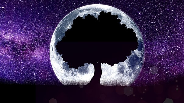 Free Moon Astronomy photo and picture