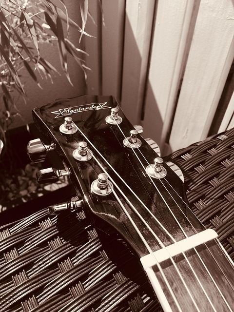 Free Instrument Sound photo and picture