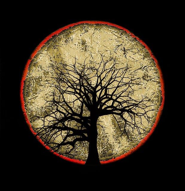 Download free HD stock image of Composing Tree Free composing tree nature illustration